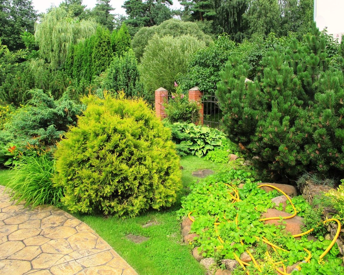 Ливадия на Истре